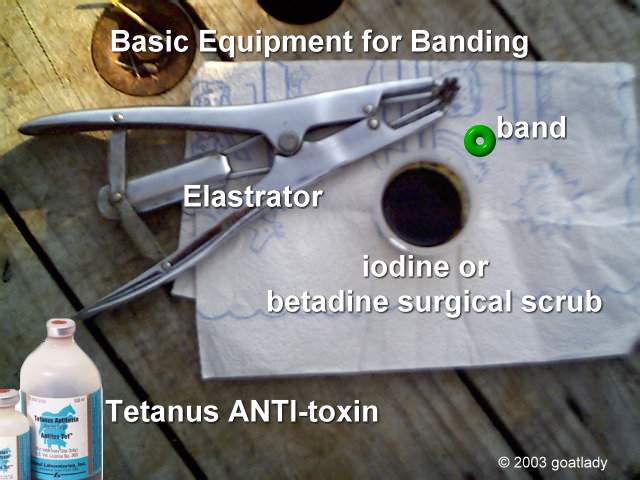 Banding Equipment