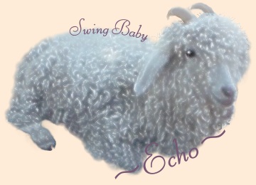 swing baby survivor - Echo